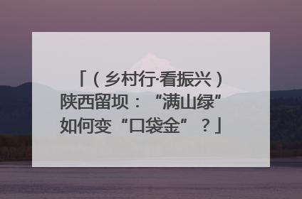 （乡村行·看振兴）陕西留坝：“满山绿”如何变“口袋金”？