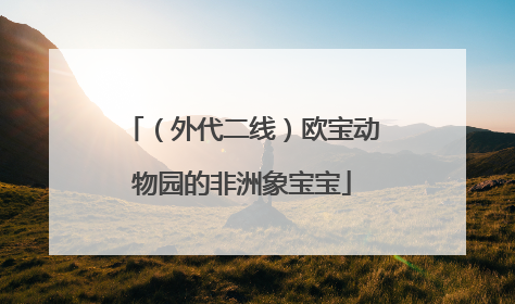 （外代二线）欧宝动物园的非洲象宝宝