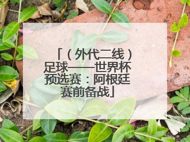 （外代二线）足球——世界杯预选赛：阿根廷赛前备战