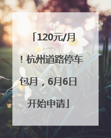 120元/月！杭州道路停车包月，6月6日开始申请