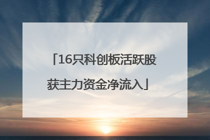 16只科创板活跃股获主力资金净流入