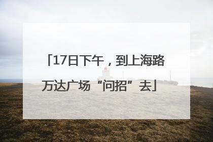 17日下午，到上海路万达广场“问招”去