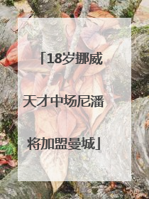 18岁挪威天才中场尼潘将加盟曼城