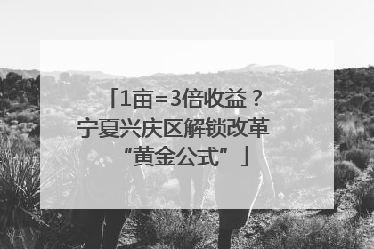 1亩=3倍收益？宁夏兴庆区解锁改革“黄金公式”