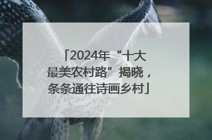 2024年“十大最美农村路”揭晓，条条通往诗画乡村