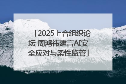 2025上合组织论坛 周鸿祎建言AI安全应对与柔性监管