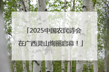 2025中国农民诗会在广西灵山绚丽启幕！