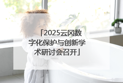2025云冈数字化保护与创新学术研讨会召开