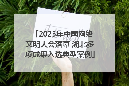 2025年中国网络文明大会落幕 湖北多项成果入选典型案例
