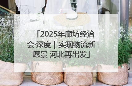2025年廊坊经洽会·深度｜实现物流新愿景 河北再出发