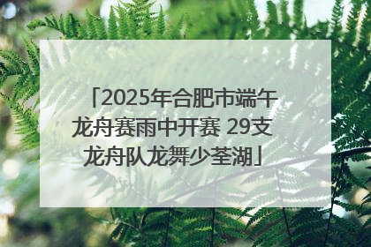 2025年合肥市端午龙舟赛雨中开赛 29支龙舟队龙舞少荃湖