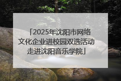 2025年沈阳市网络文化企业进校园双选活动走进沈阳音乐学院