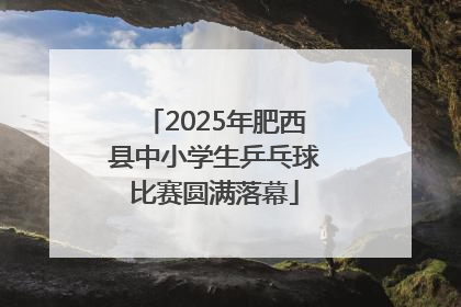 2025年肥西县中小学生乒乓球比赛圆满落幕