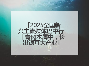 2025全国新兴主流媒体巴中行丨青冈木屑中，长出银耳大产业