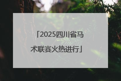 2025四川省马术联赛火热进行