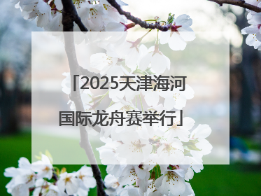 2025天津海河国际龙舟赛举行