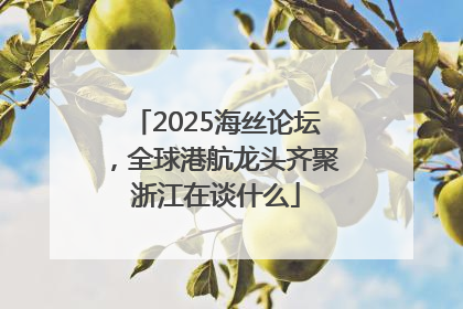2025海丝论坛，全球港航龙头齐聚浙江在谈什么