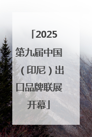 2025第九届中国（印尼）出口品牌联展开幕
