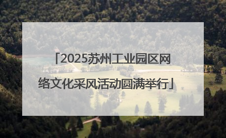 2025苏州工业园区网络文化采风活动圆满举行