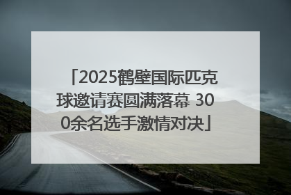 2025鹤壁国际匹克球邀请赛圆满落幕 300余名选手激情对决