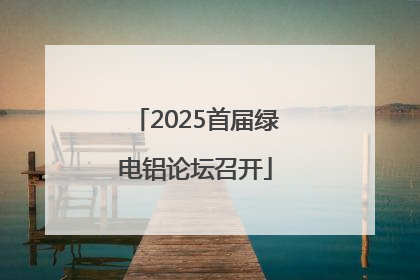 2025首届绿电铝论坛召开