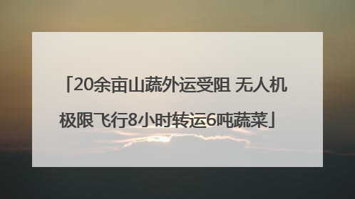 20余亩山蔬外运受阻 无人机极限飞行8小时转运6吨蔬菜