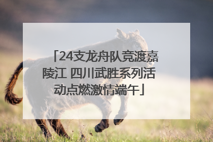 24支龙舟队竞渡嘉陵江 四川武胜系列活动点燃激情端午