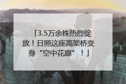 3.5万余株热烈绽放！日照这座高架桥变身“空中花廊”！