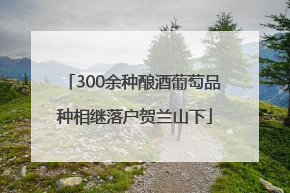 300余种酿酒葡萄品种相继落户贺兰山下