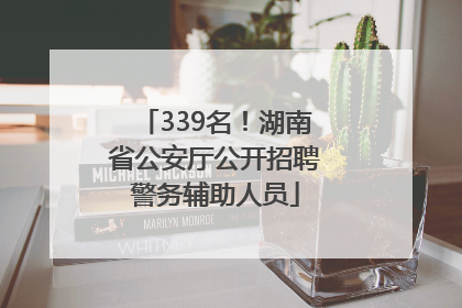 339名！湖南省公安厅公开招聘警务辅助人员