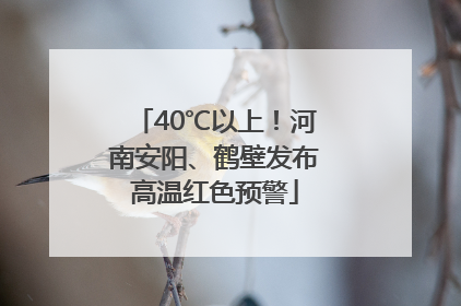 40℃以上！河南安阳、鹤壁发布高温红色预警