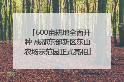 600亩耕地全面开种 成都东部新区东山农场示范园正式亮相