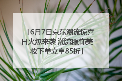 6月7日京东潮流惊喜日火爆来袭 潮流服饰美妆下单立享85折