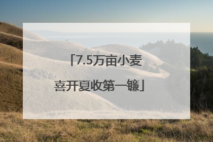 7.5万亩小麦喜开夏收第一镰
