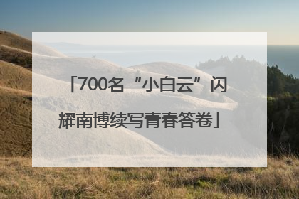 700名“小白云”闪耀南博续写青春答卷