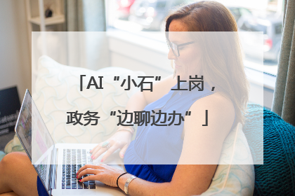 AI“小石”上岗，政务“边聊边办”
