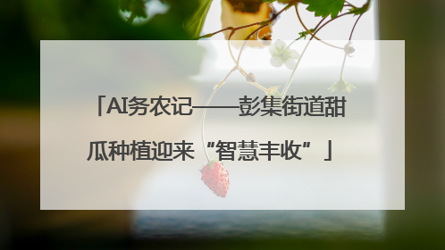 AI务农记——彭集街道甜瓜种植迎来“智慧丰收”