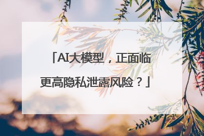 AI大模型，正面临更高隐私泄露风险？