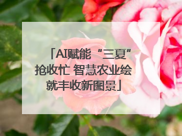 AI赋能“三夏”抢收忙 智慧农业绘就丰收新图景