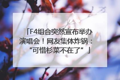 F4组合突然宣布举办演唱会！网友集体炸锅：“可惜杉菜不在了”