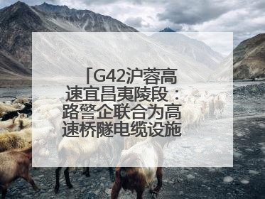 G42沪蓉高速宜昌夷陵段：路警企联合为高速桥隧电缆设施“舒筋通脉”