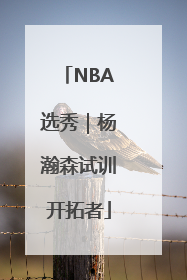 NBA选秀｜杨瀚森试训开拓者